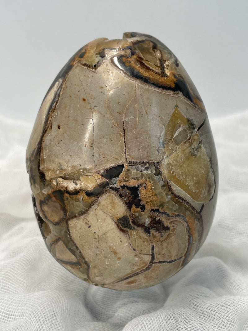 Septarian Nodule “Dragon’s Stone” Egg