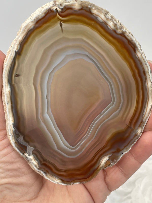 Natural Brazilian Agate Slice