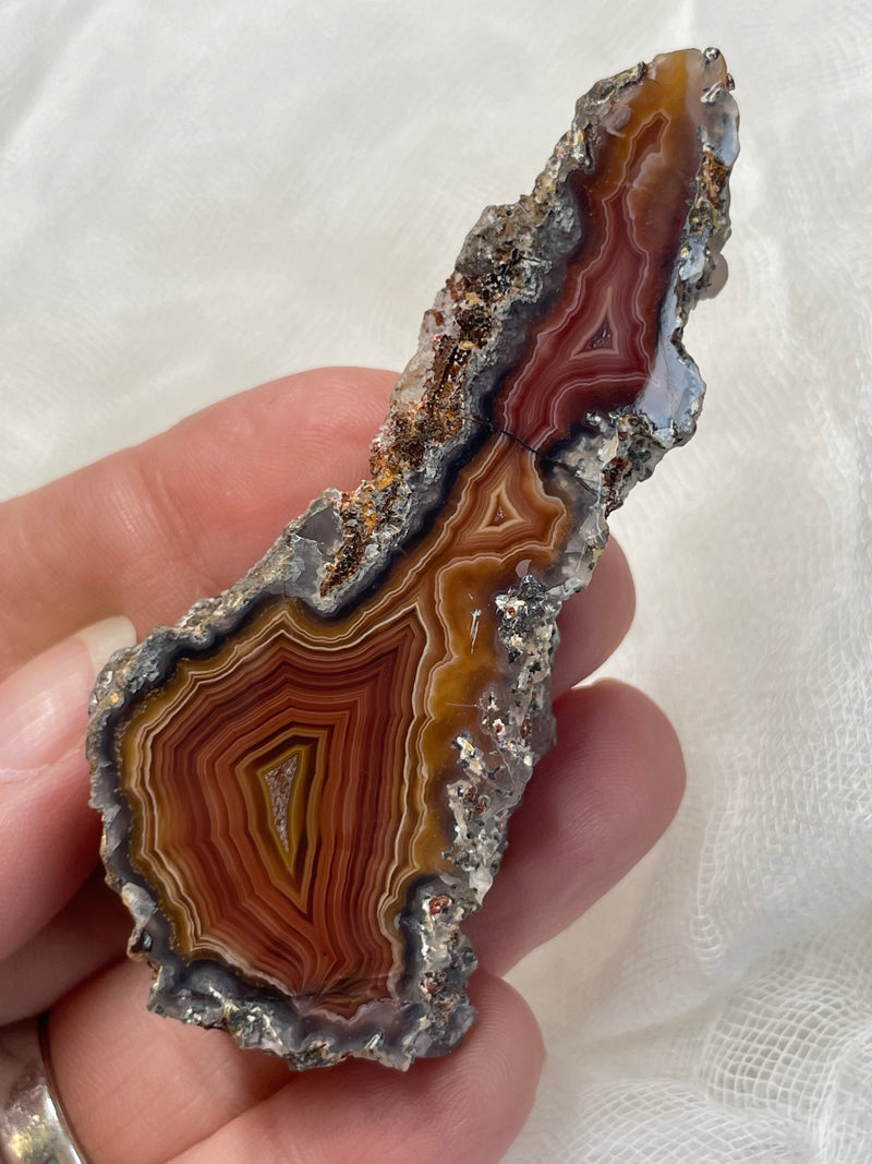 Laguna Agate Specimen