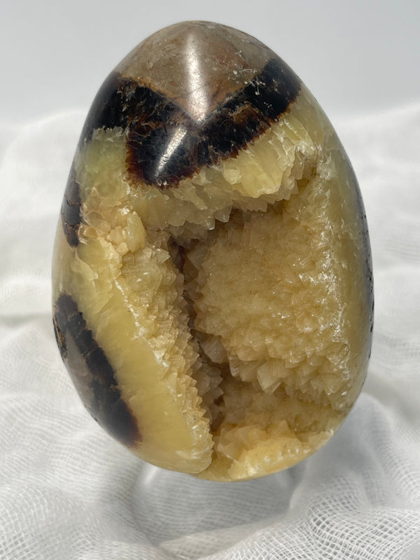 Septarian Nodule “Dragon’s Stone” Egg