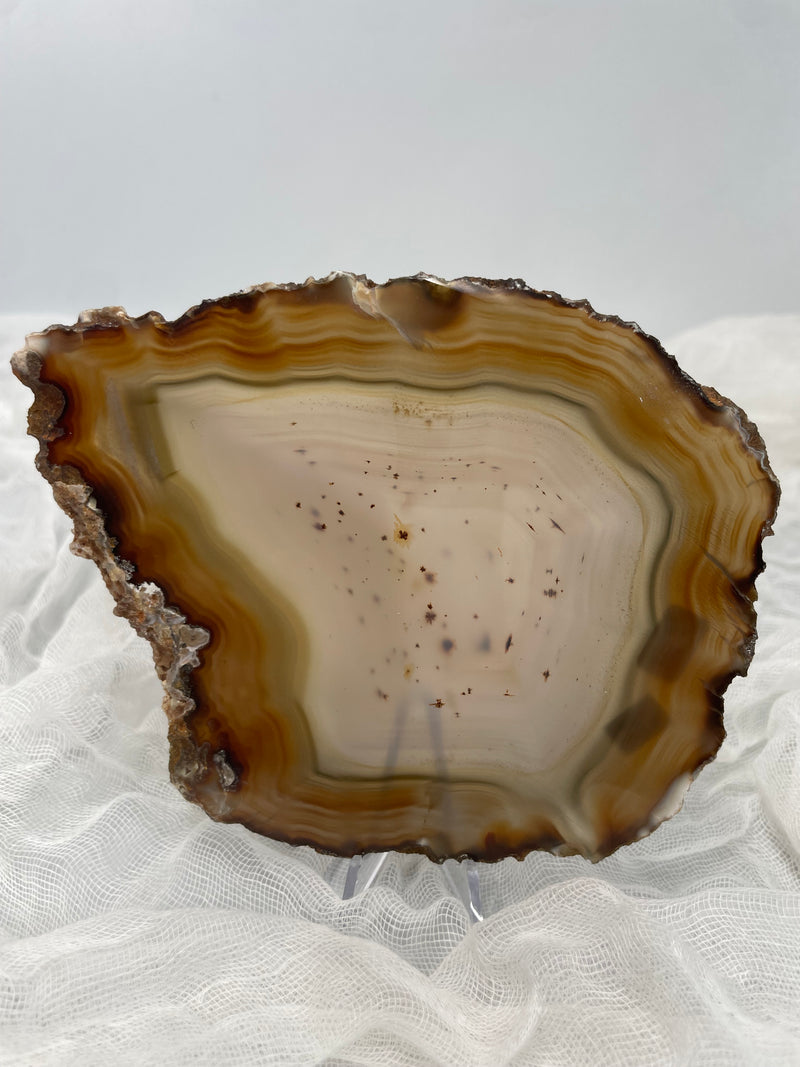 Natural Brazilian Agate Slice