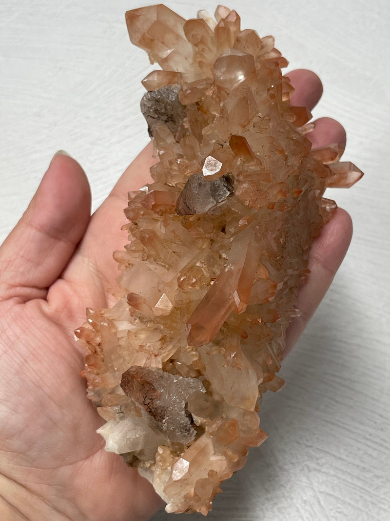 Quartz Cluster / Orange River, SA