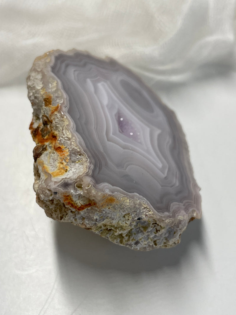 Laguna Agate Specimen