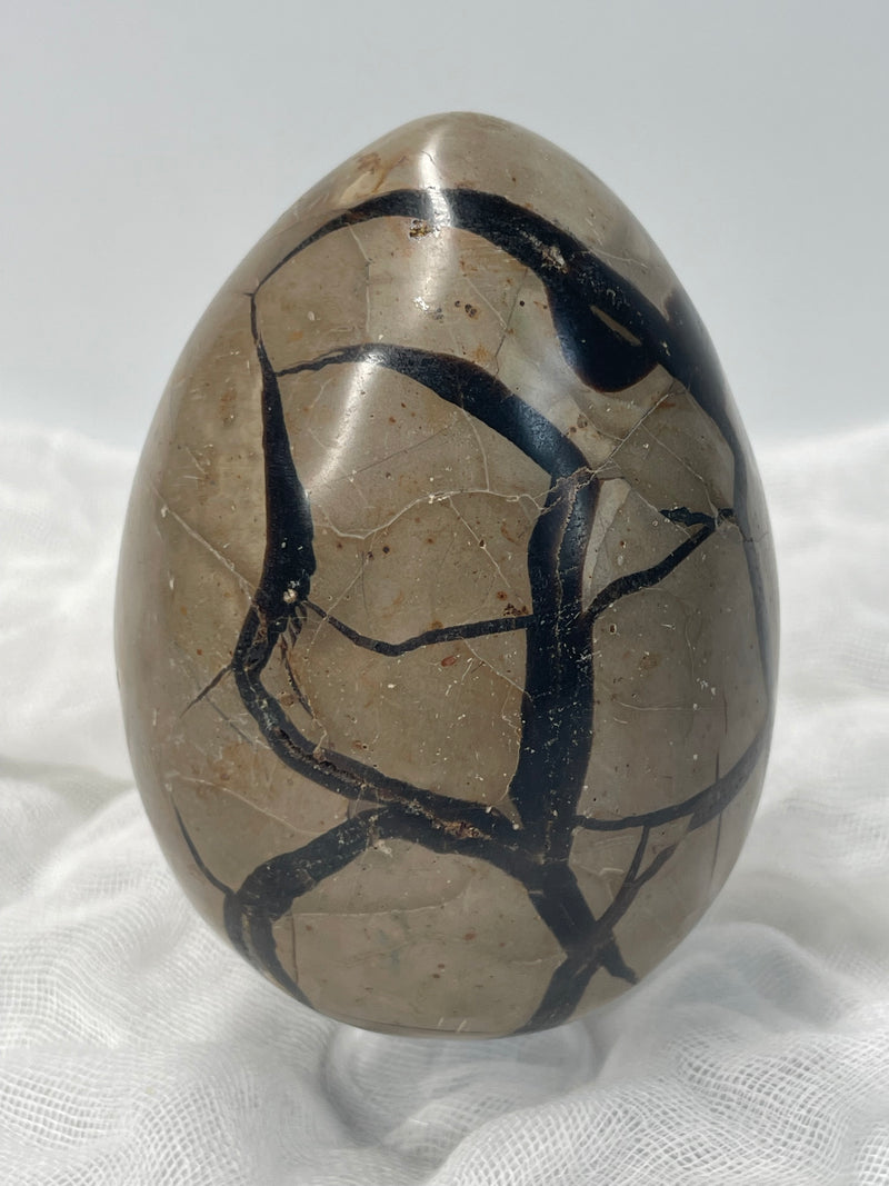 Septarian Nodule “Dragon’s Stone” Egg