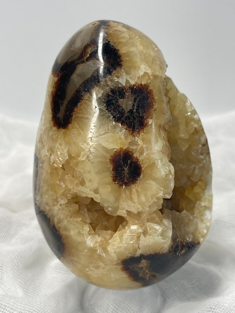 Septarian Nodule “Dragon’s Stone” Egg