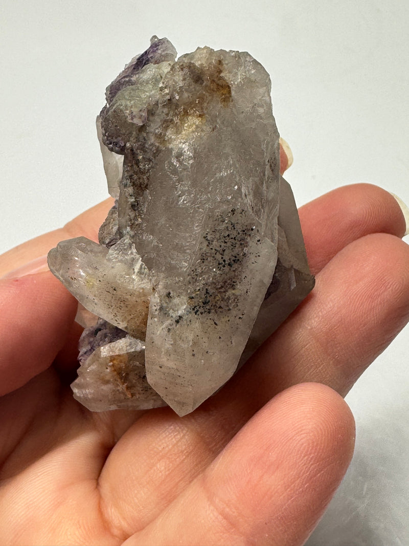 *Rare* Arizona USA Fluorite & Quartz/Hand-Dug