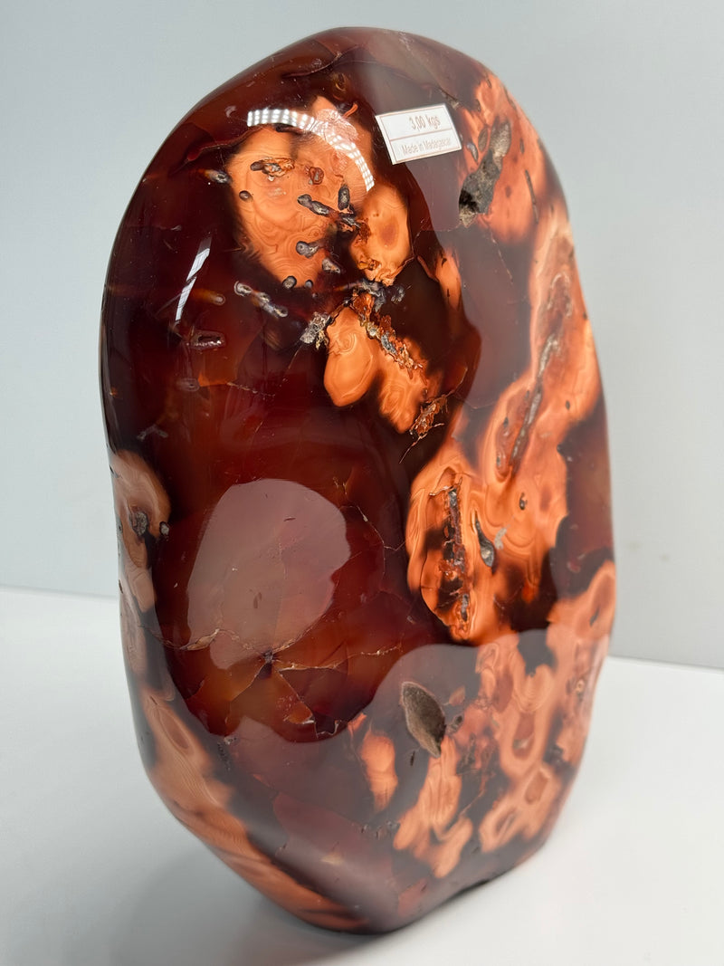 Carnelian Free Form - Statement Piece