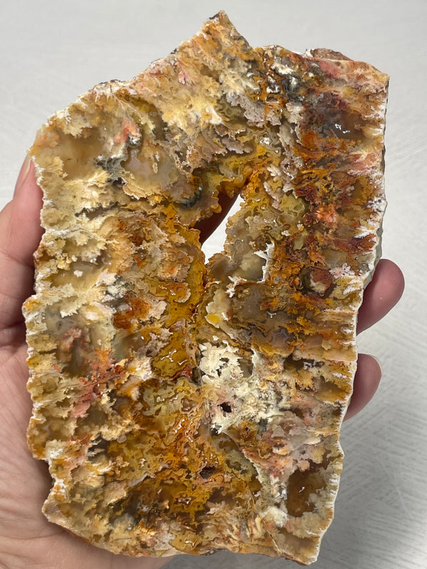 Graveyard Point “Regency Rose” Plume Agate Slab