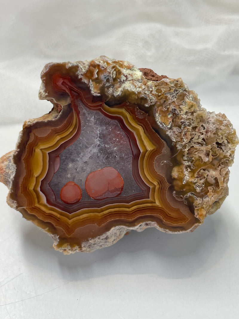 Coyamito Agate Specimen