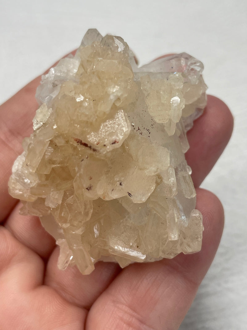 Apophyllite & Quartz Cluster