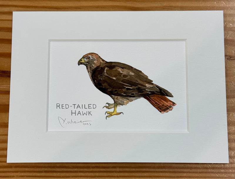 Nature Watercolor Prints/Studio Tuesday