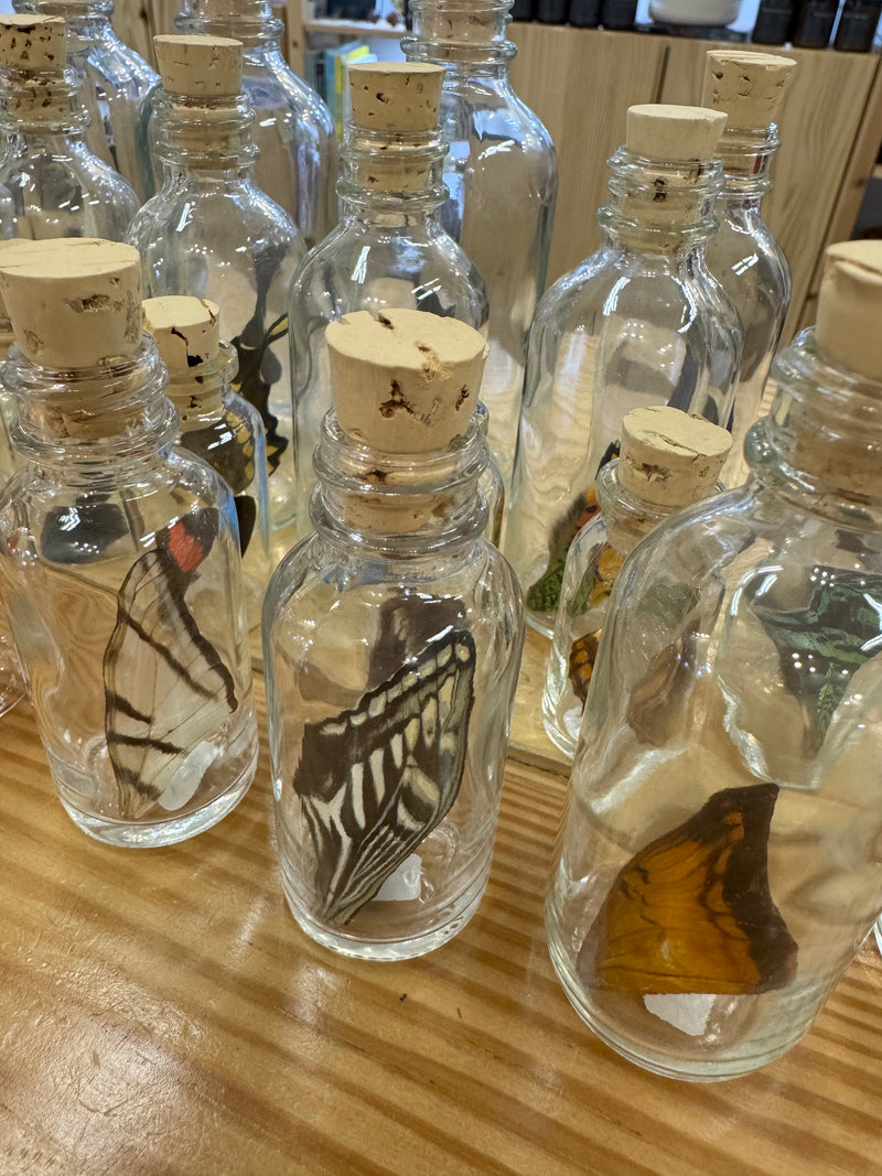 Real Butterfly Wing in Glass Bottle