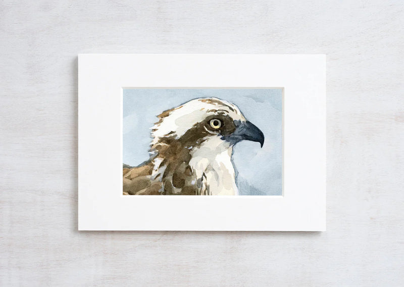 Nature Watercolor Prints/Studio Tuesday