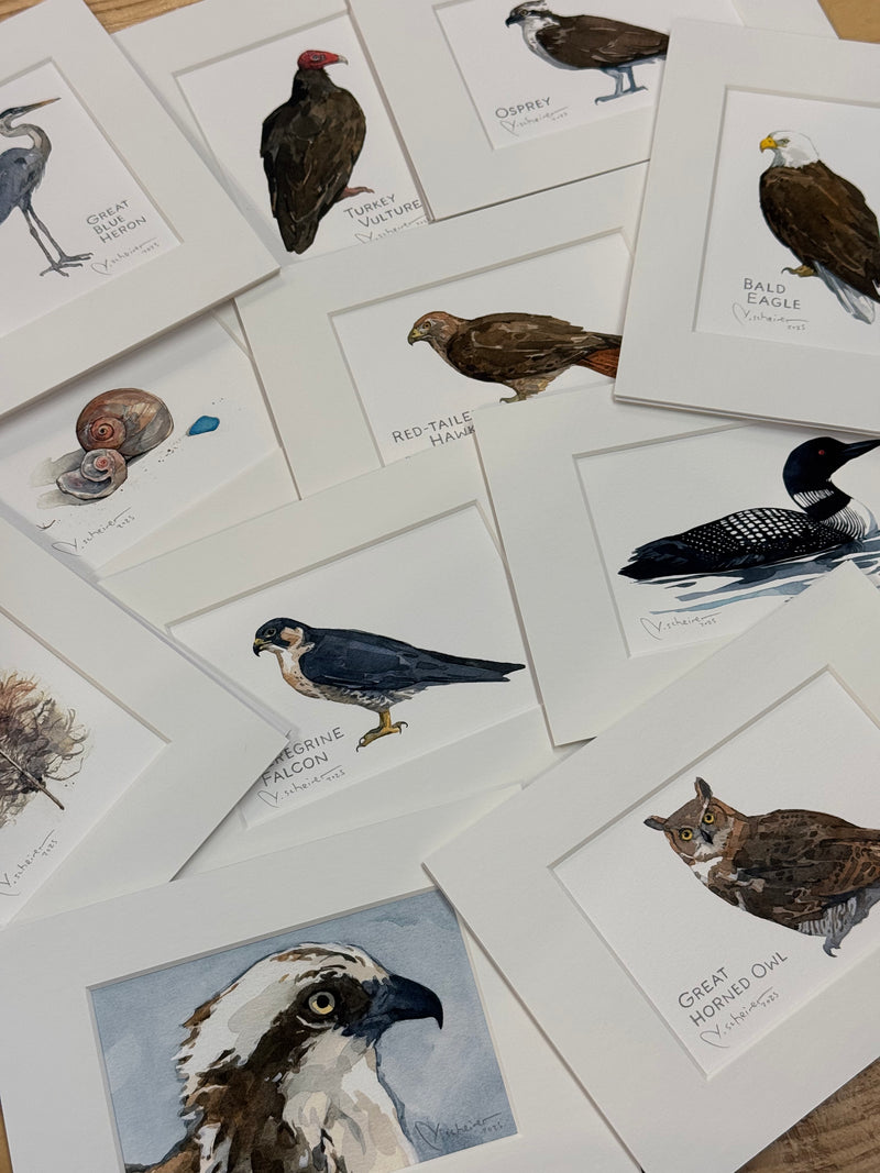Nature Watercolor Prints/Studio Tuesday