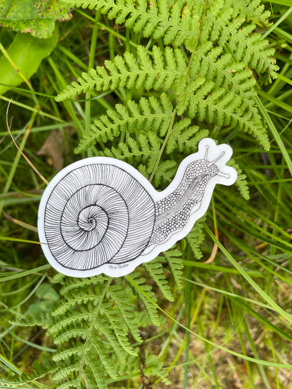 Inkling Snail Sticker