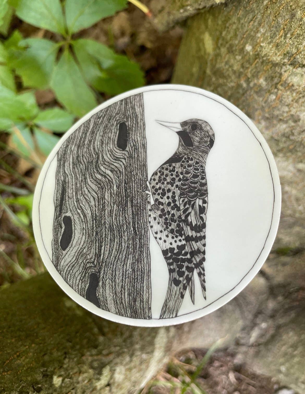 Northern Flicker Sticker – Mountain Hollow