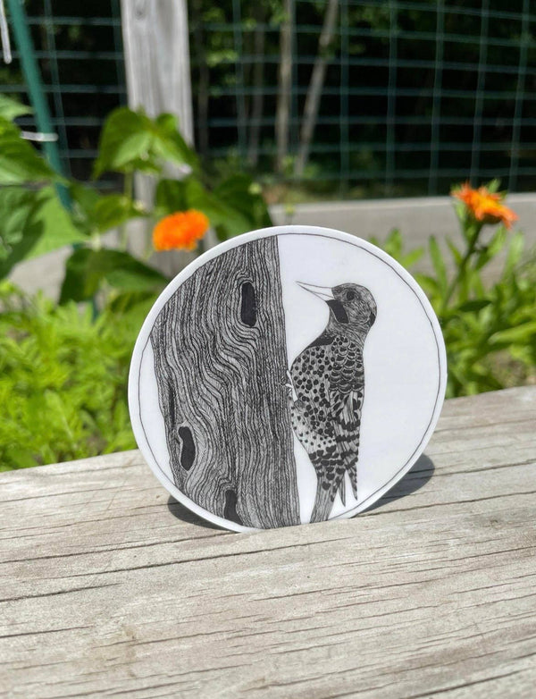 Northern Flicker Sticker