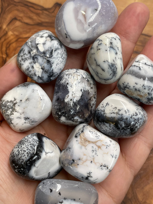 Dendritic Opal/White Dendritic Agate(Tumbled)