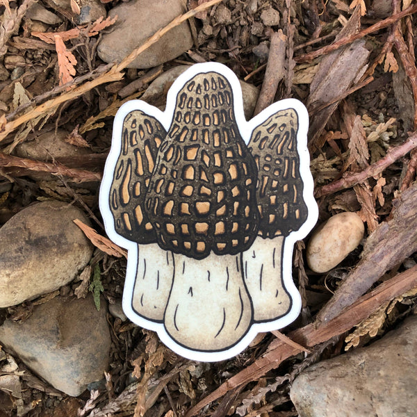Vinyl Mushroom Stickers by The Fungi Arcana