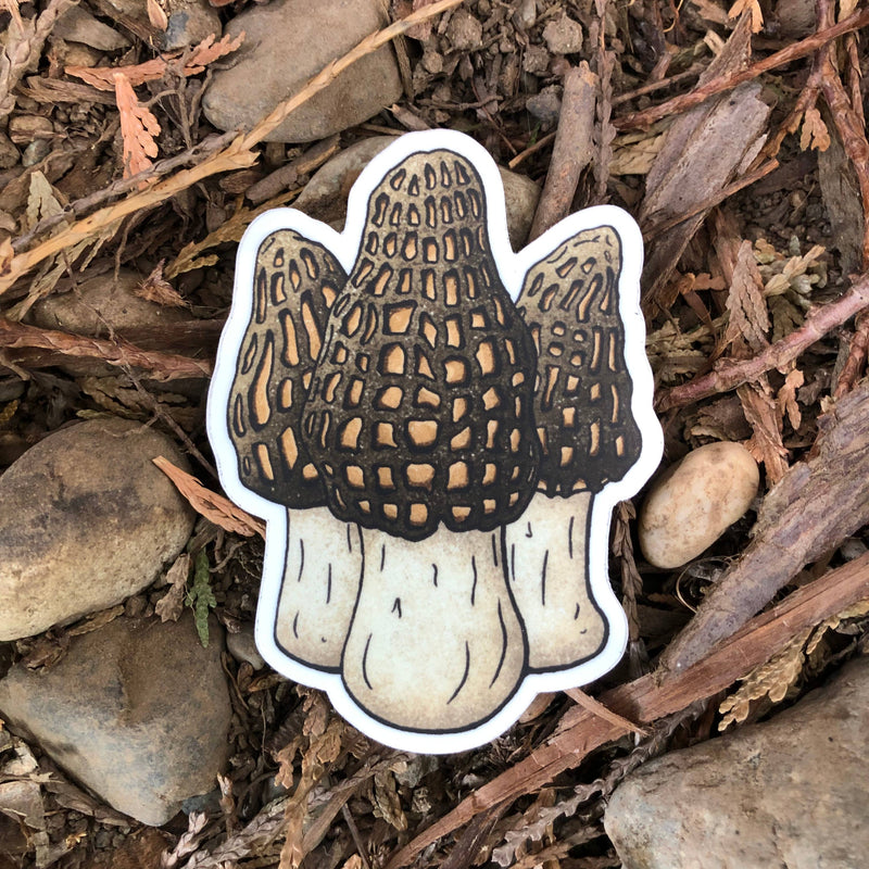 Vinyl Mushroom Stickers by The Fungi Arcana