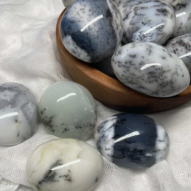 Dendritic Opal/White Dendritic Agate/Merlinite) Palm Stones / Pebbles