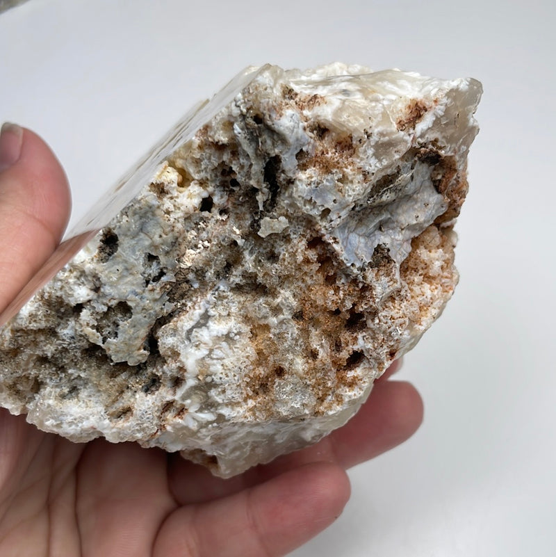 Stinking Water Plume Agate
