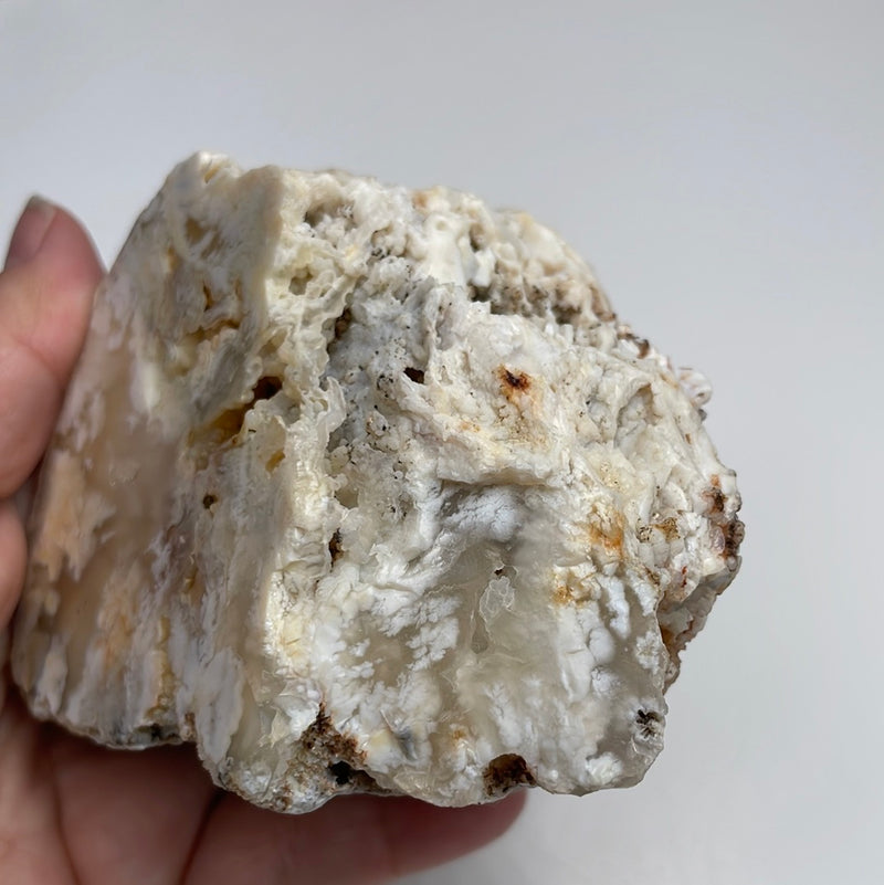 Stinking Water Plume Agate